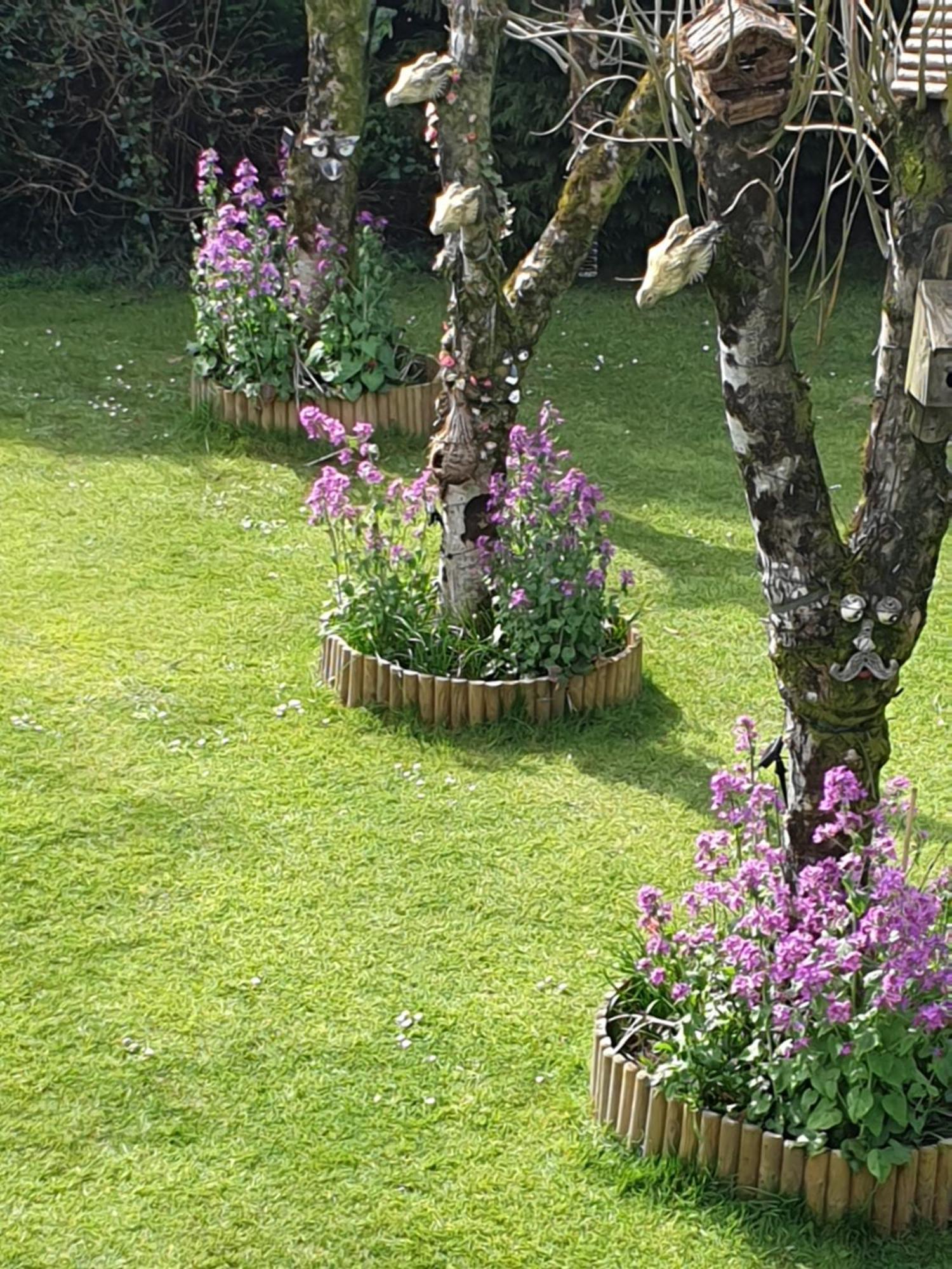 Richlands Tondu